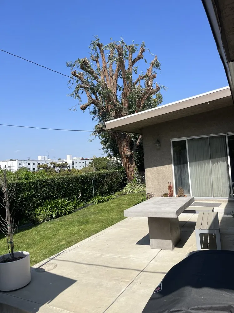 Professional landscape design experts serving Lawndale, CA - Sal Landscaping