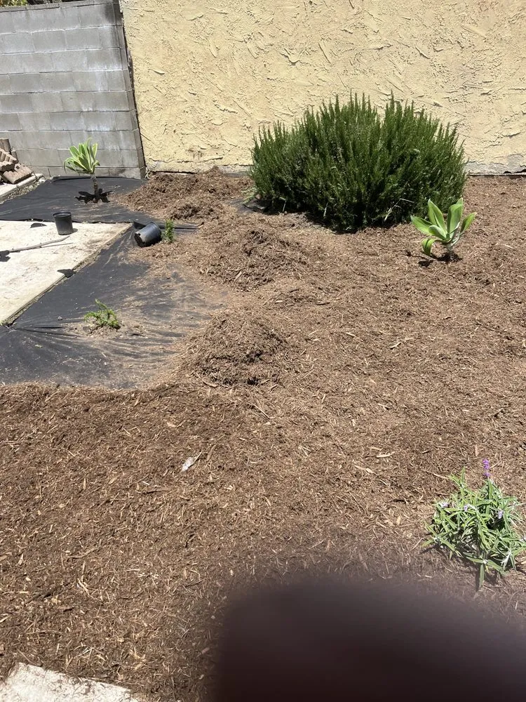 Reliable yard maintenance in Lawndale, CA - Sal Landscaping