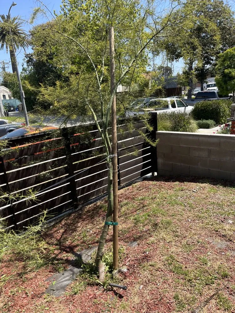 Professional landscaping services in Lawndale, CA - Sal Landscaping