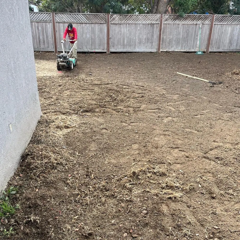 Affordable yard cleanup service in Lawndale, CA by Sal Landscaping