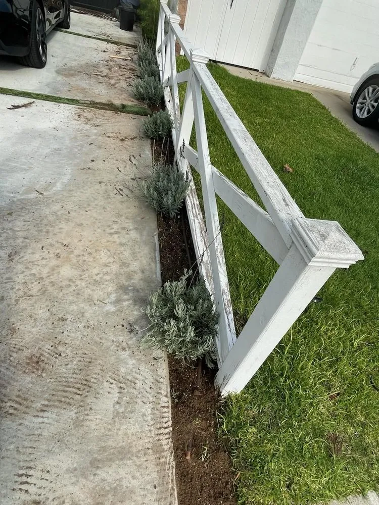 Expert yard maintenance for residential properties in Lawndale, CA by Sal Landscaping
