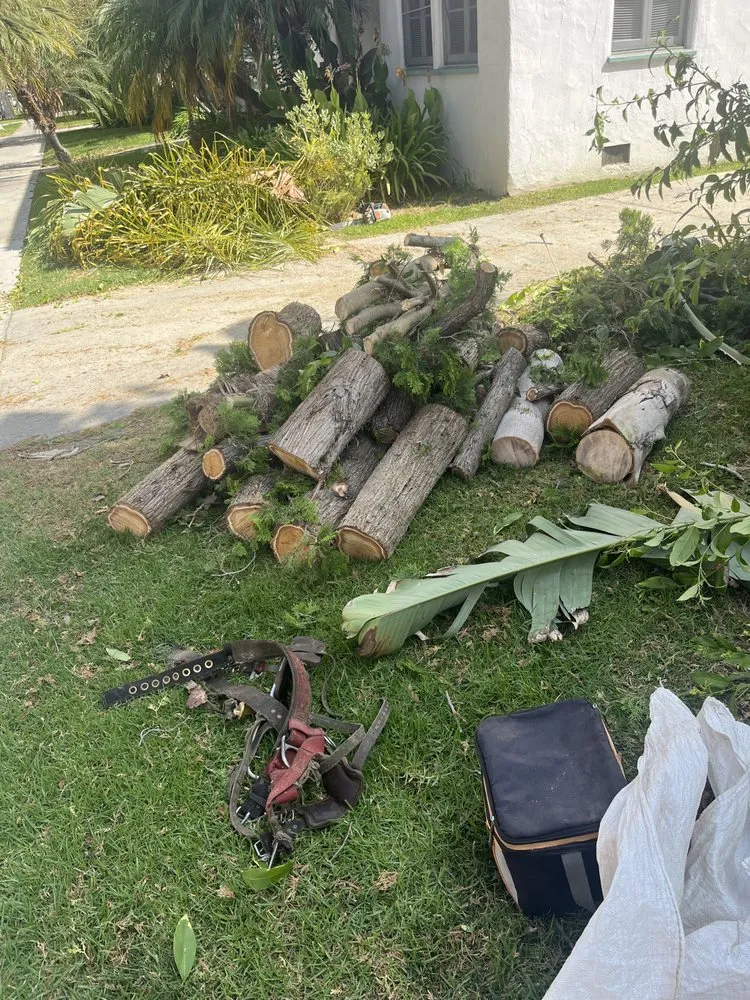 Custom landscape design experts serving Lawndale, CA - Sal Landscaping