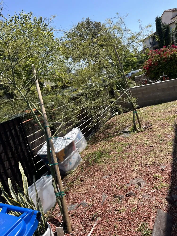 Trusted landscaping services in Lawndale, CA - Sal Landscaping