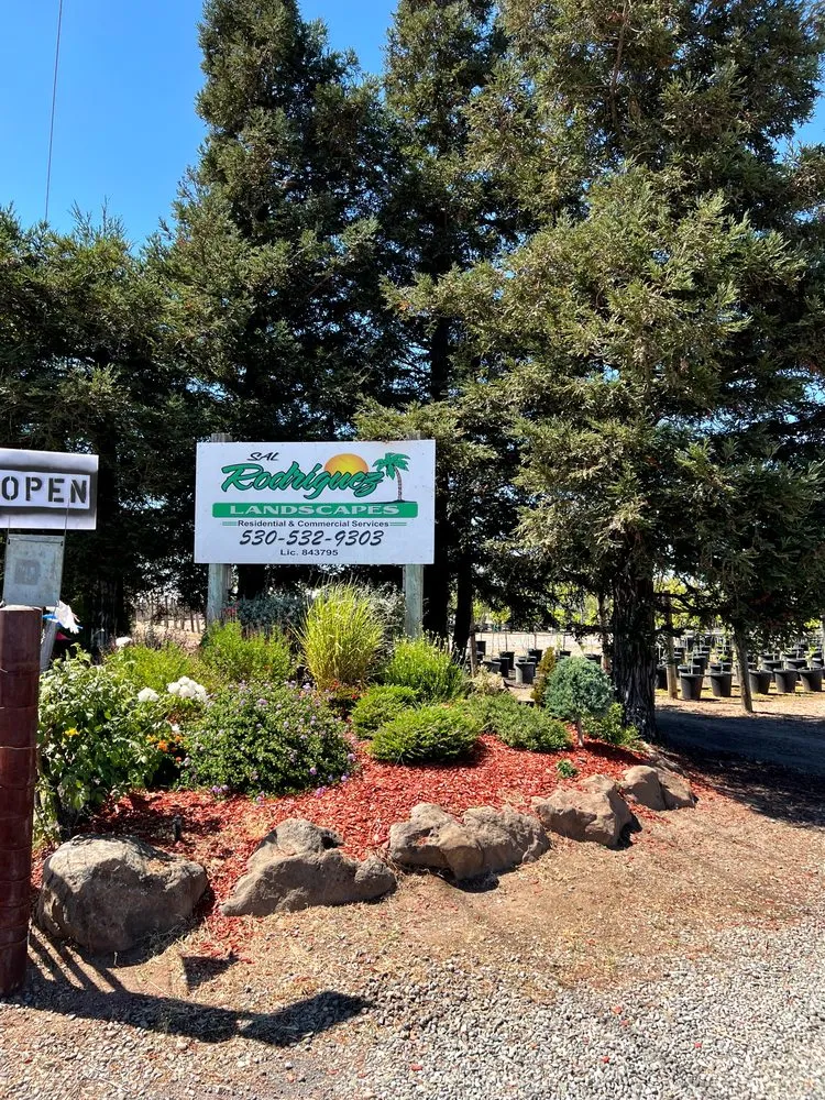 Trusted landscape design experts serving Chico, CA - Sal Rodriguez Landscapes