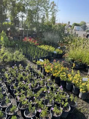 Sal Rodriguez Landscapes Logo