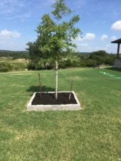Reliable garden landscaping for homes in Salado, TX by Salado Landscaping