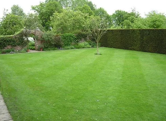 Top-rated residential landscaping near you across Salado, TX - Salado Lawn Care