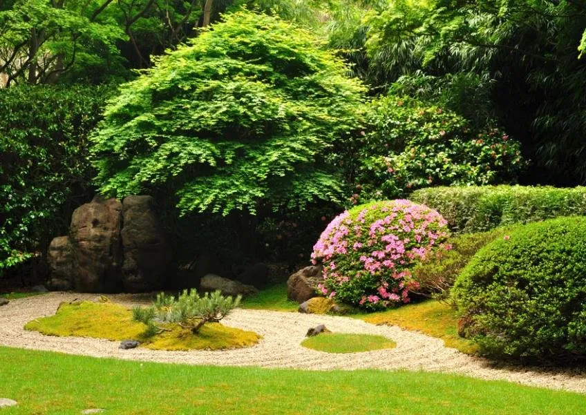 Reliable yard cleanup service in Salado, TX - Salado Lawn Care