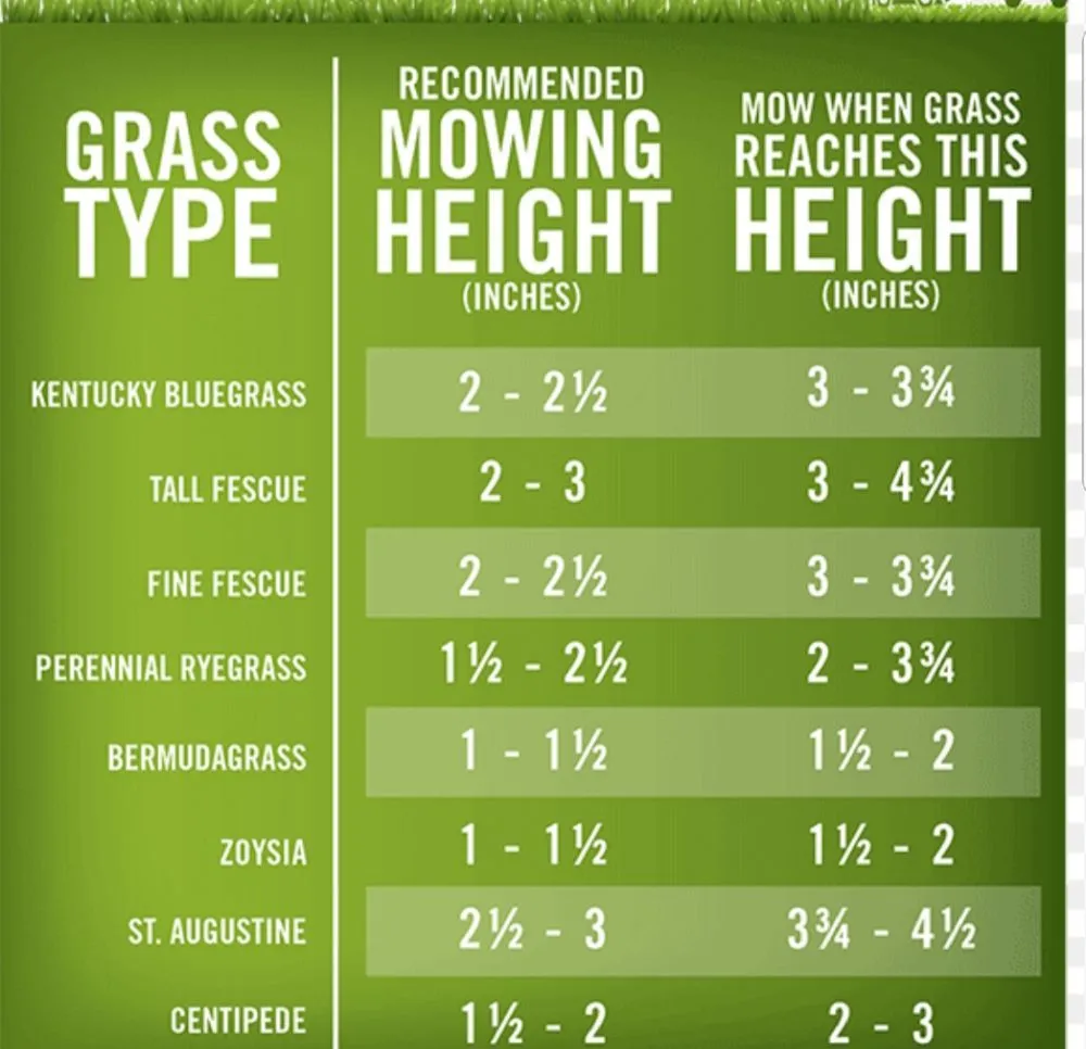 Trusted yard maintenance for year-round maintenance across Salado, TX - Salado Lawn Care