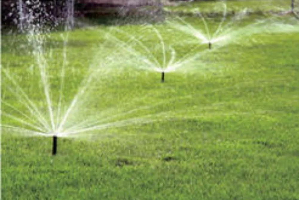 Affordable outdoor landscaping experts serving Salado, TX - Salado Lawn Care