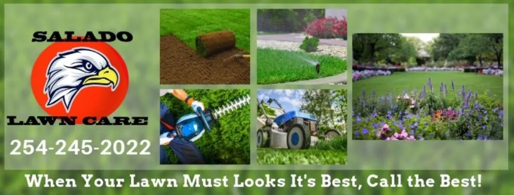 Custom landscaping services for year-round maintenance in Salado, TX by Salado Lawn Care