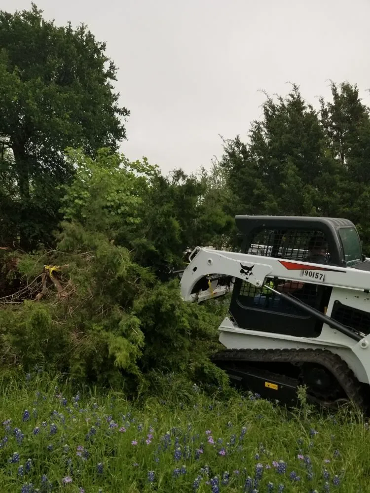 Custom yard cleanup service in Salado, TX - Salado Lawn Care
