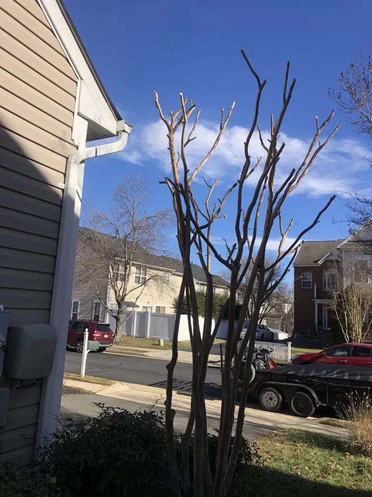 Professional yard cleanup service in Leesburg, VA - Salamanca’s Landscaping