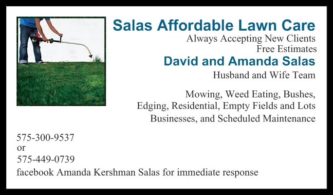 Expert lawn mowing service in Carlsbad, NM - Salas Affordable Lawn Care