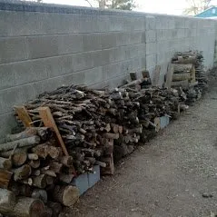 Trusted lawn care service for outdoor upgrades across Carlsbad, NM - Salas Affordable Lawn Care