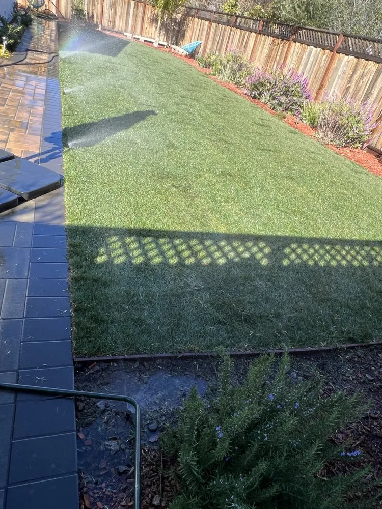 Affordable outdoor landscaping near you in Sunnyvale, CA by Salas Landscape