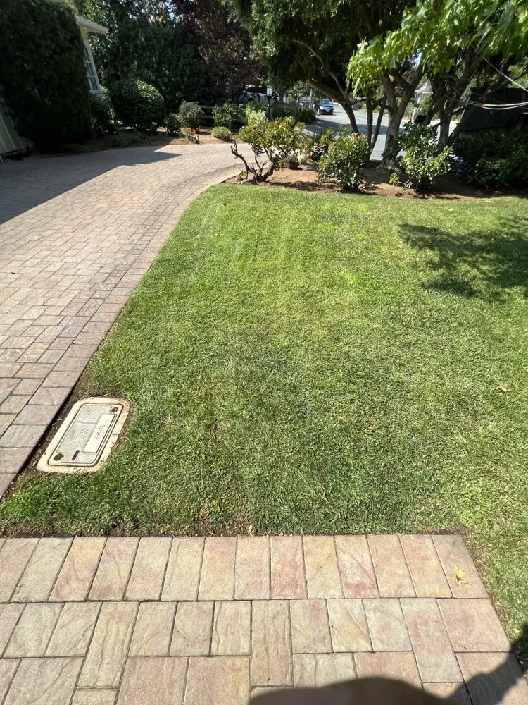 Local landscaping services experts serving Sunnyvale, CA - Salas Landscape