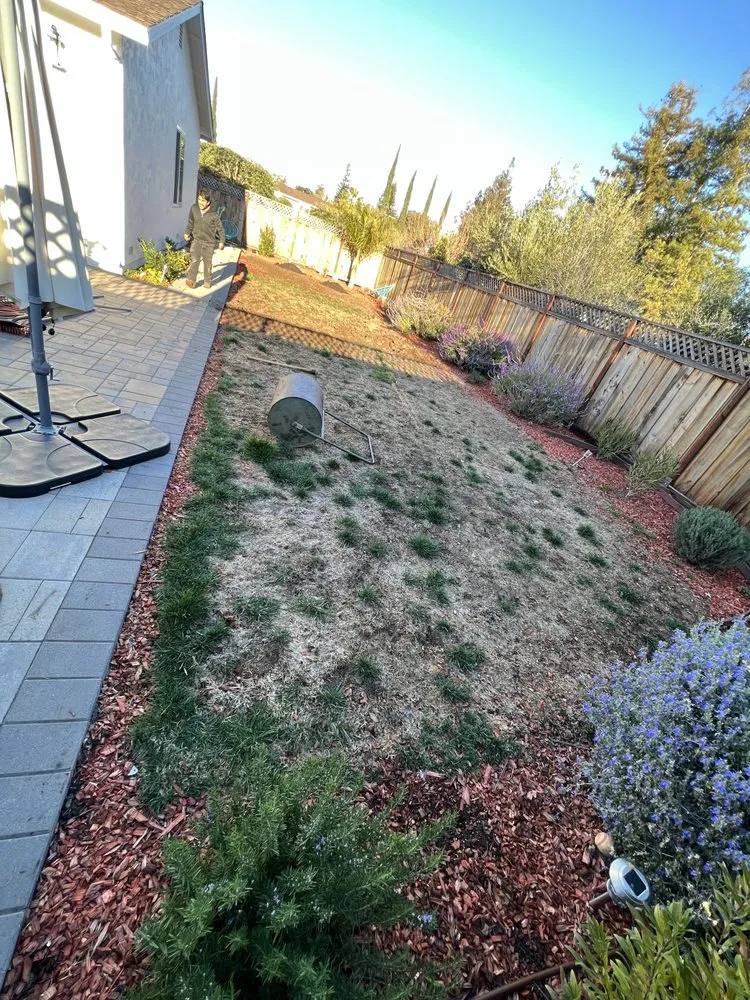 Affordable yard cleanup service for beautiful yards across Sunnyvale, CA - Salas Landscape