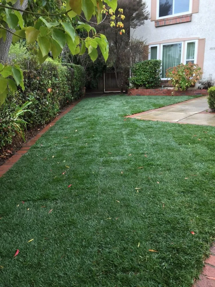 Custom landscape design in Sunnyvale, CA by Salas Landscape