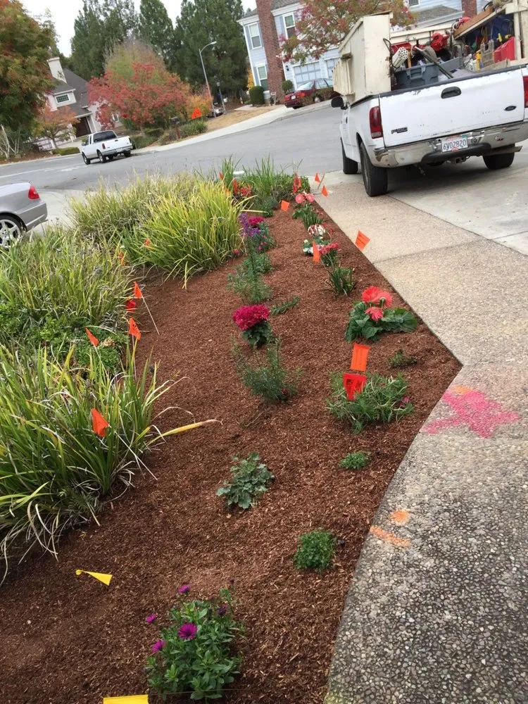 Local landscape installation in Sunnyvale, CA - Salas Landscape