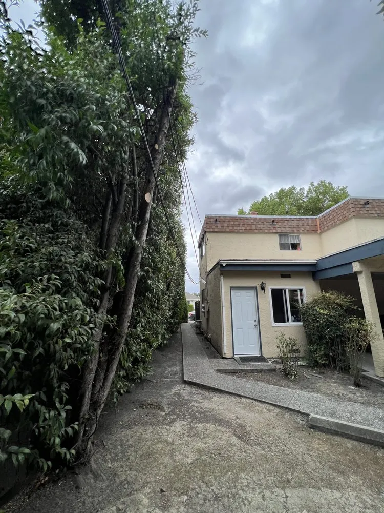 Professional yard maintenance experts serving Sunnyvale, CA - Salas Landscape