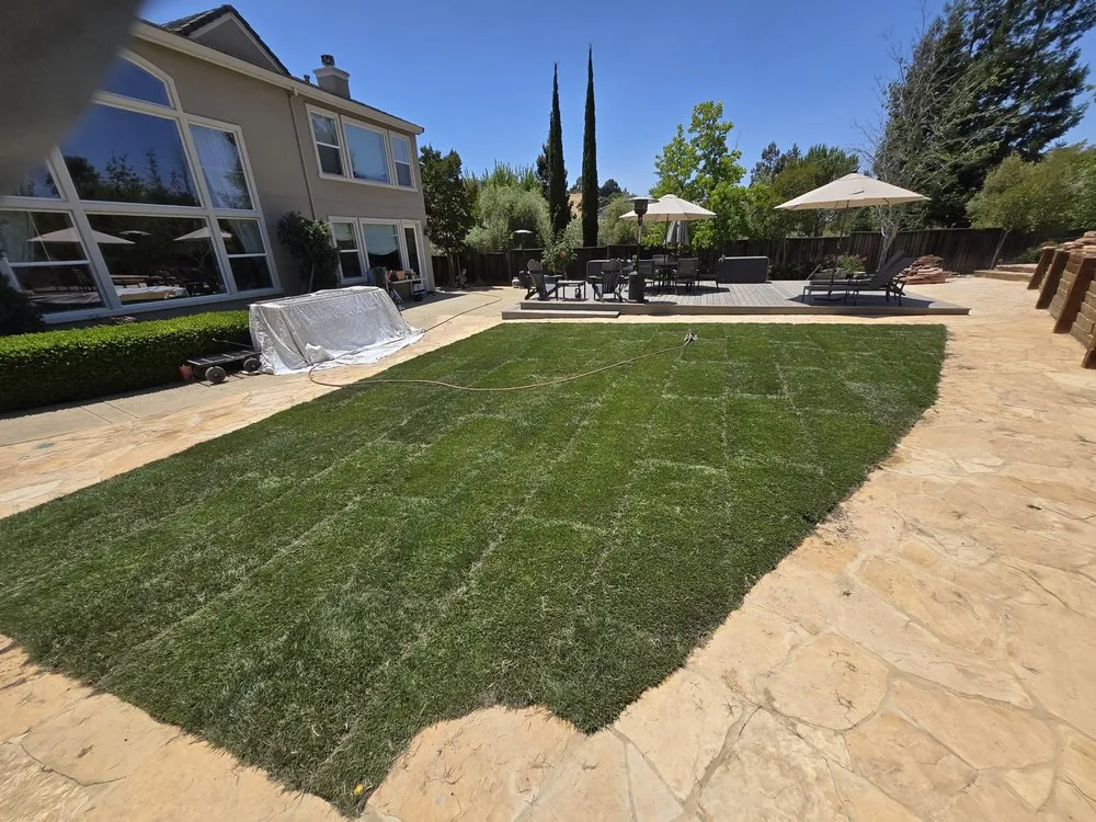 Reliable lawn mowing service in Sunnyvale, CA by Salas Landscape