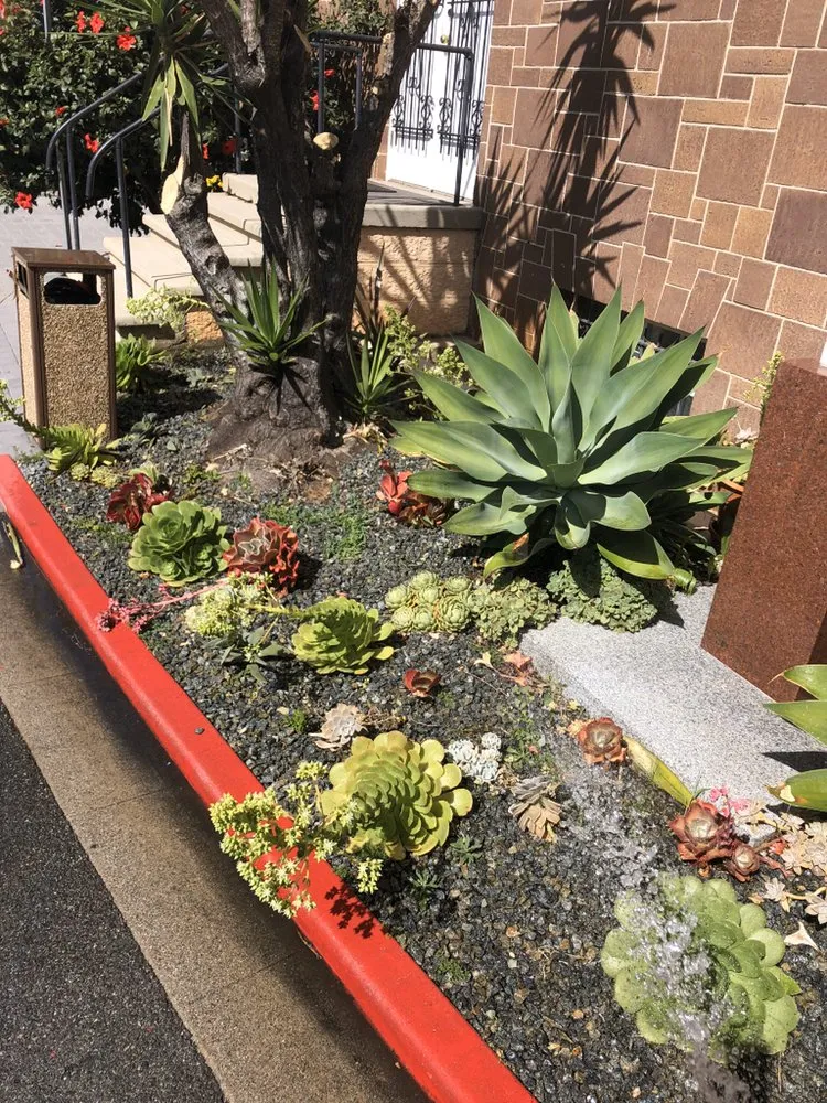 Reliable landscape design experts serving Inglewood, CA - Salas Landscaping