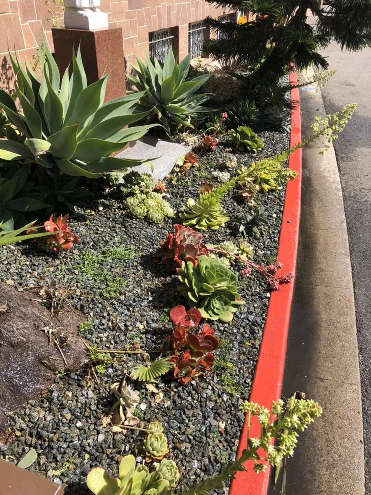 Trusted lawn care service experts serving Inglewood, CA - Salas Landscaping