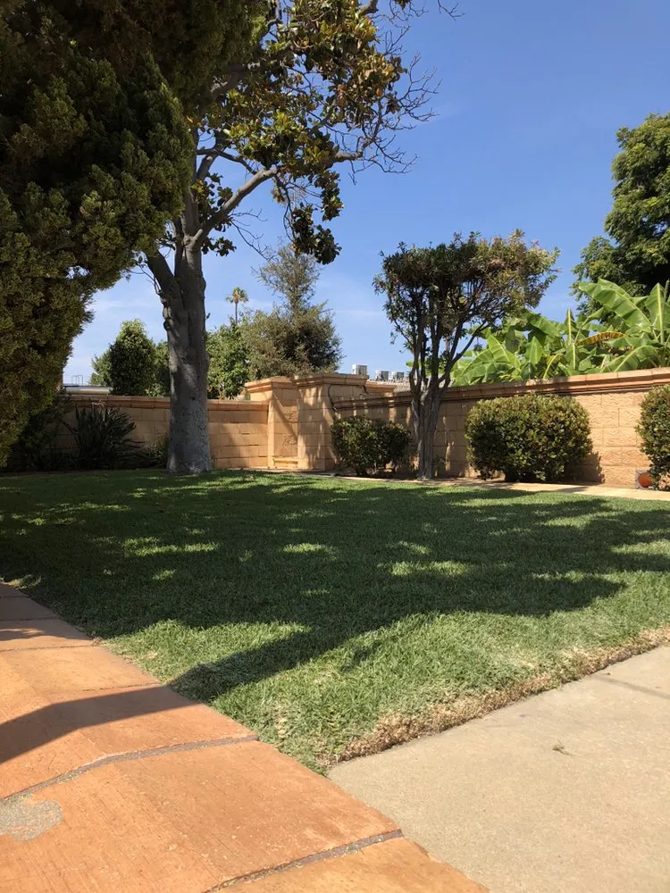 Top-rated landscape design experts serving Inglewood, CA - Salas Landscaping