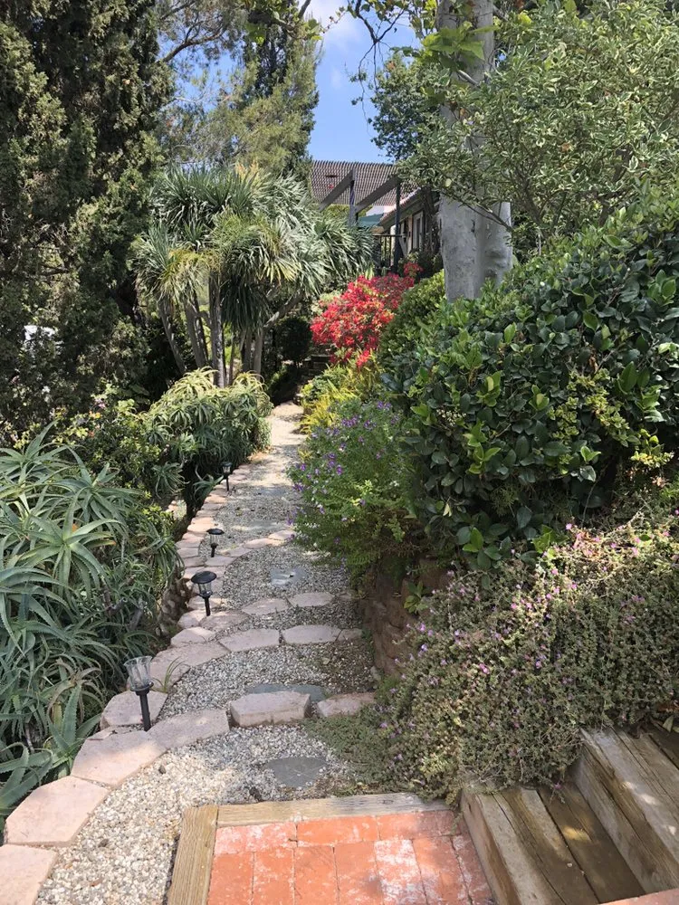 Affordable yard cleanup service for outdoor upgrades in Inglewood, CA by Salas Landscaping