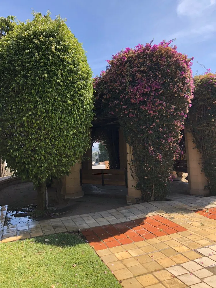 Expert lawn mowing service in Inglewood, CA by Salas Landscaping