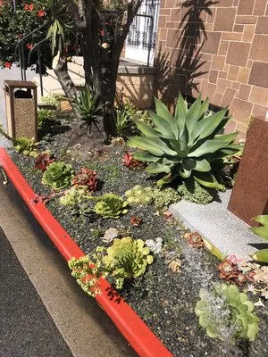 Salas Landscaping Logo