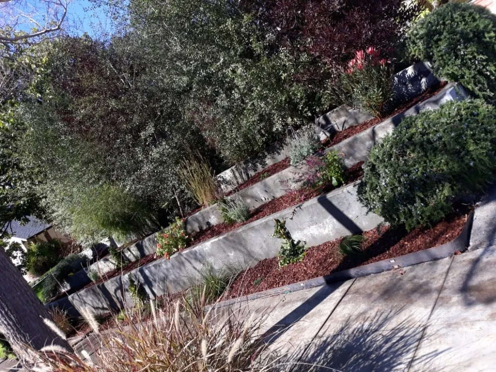 Professional yard maintenance with custom design in Oakland, CA by Salas Landscaping
