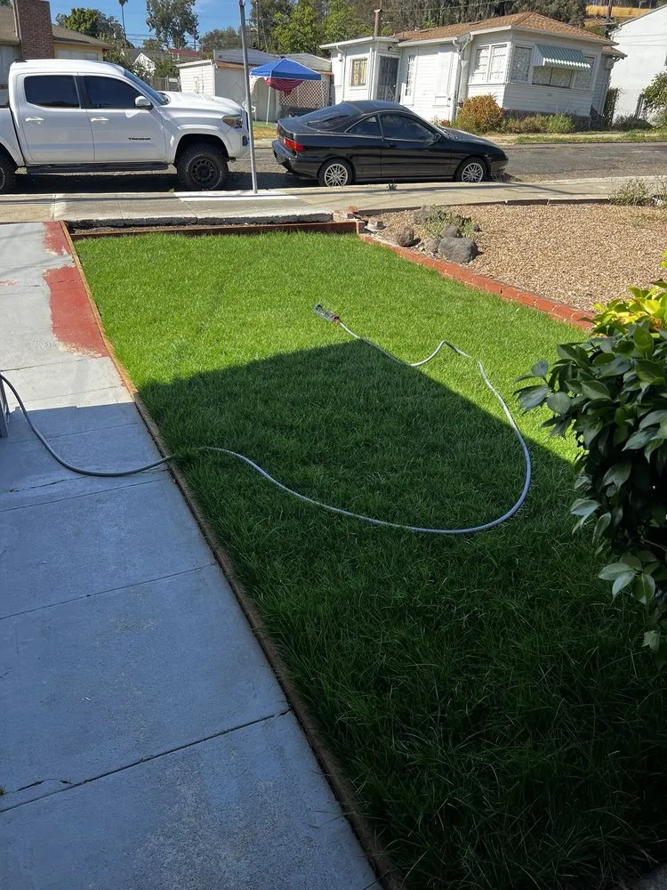 Top-rated landscape installation for beautiful yards across Oakland, CA - Salas Landscaping
