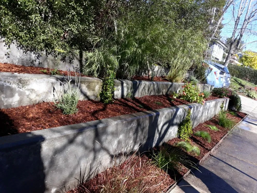 Local yard maintenance in Oakland, CA - Salas Landscaping