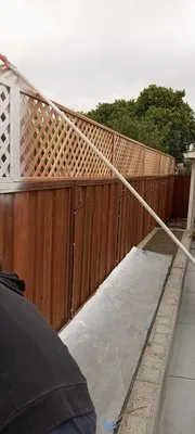 Salas Landscaping Logo