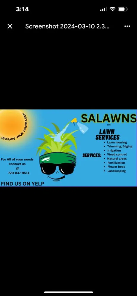 Affordable lawn mowing service in Denver, CO - Salawns