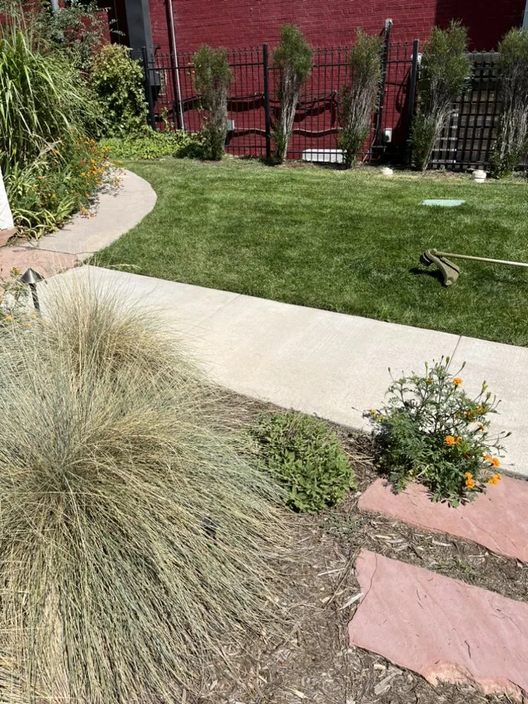 Local garden landscaping near you across Denver, CO - Salawns
