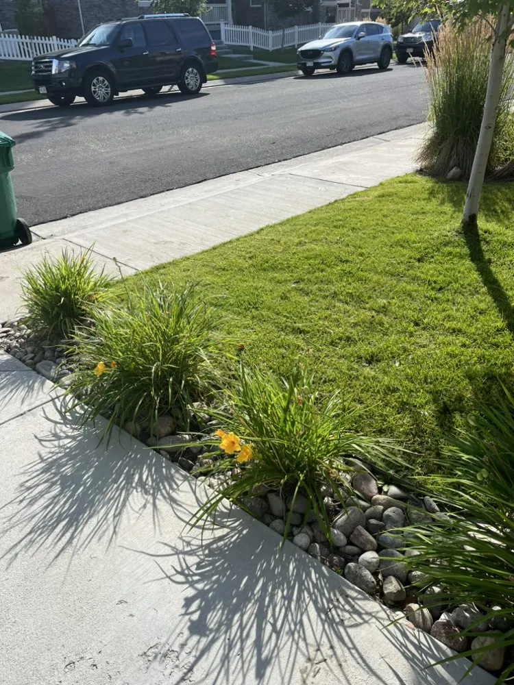 Local outdoor landscaping for outdoor upgrades across Denver, CO - Salawns