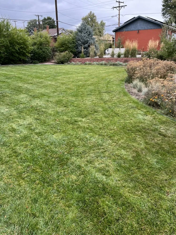Expert outdoor landscaping in Denver, CO - Salawns