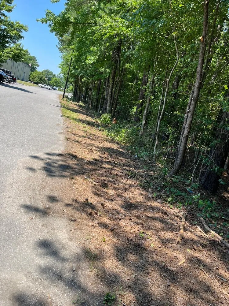 Expert lawn care service for homes in Ashland, VA by Salazar A Landscaper