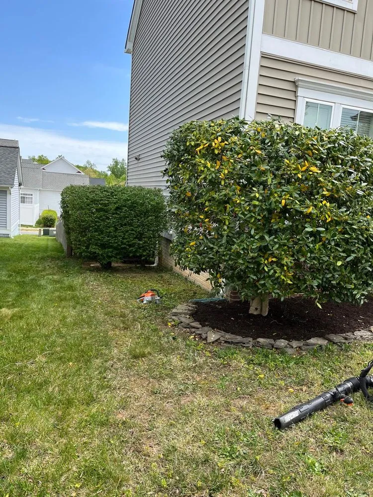 Professional landscape installation near you across Ashland, VA - Salazar A Landscaper