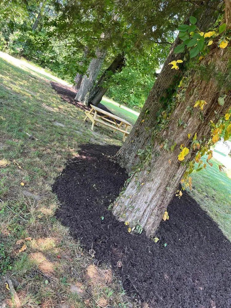 Local landscaping services for homes across Ashland, VA - Salazar A Landscaper