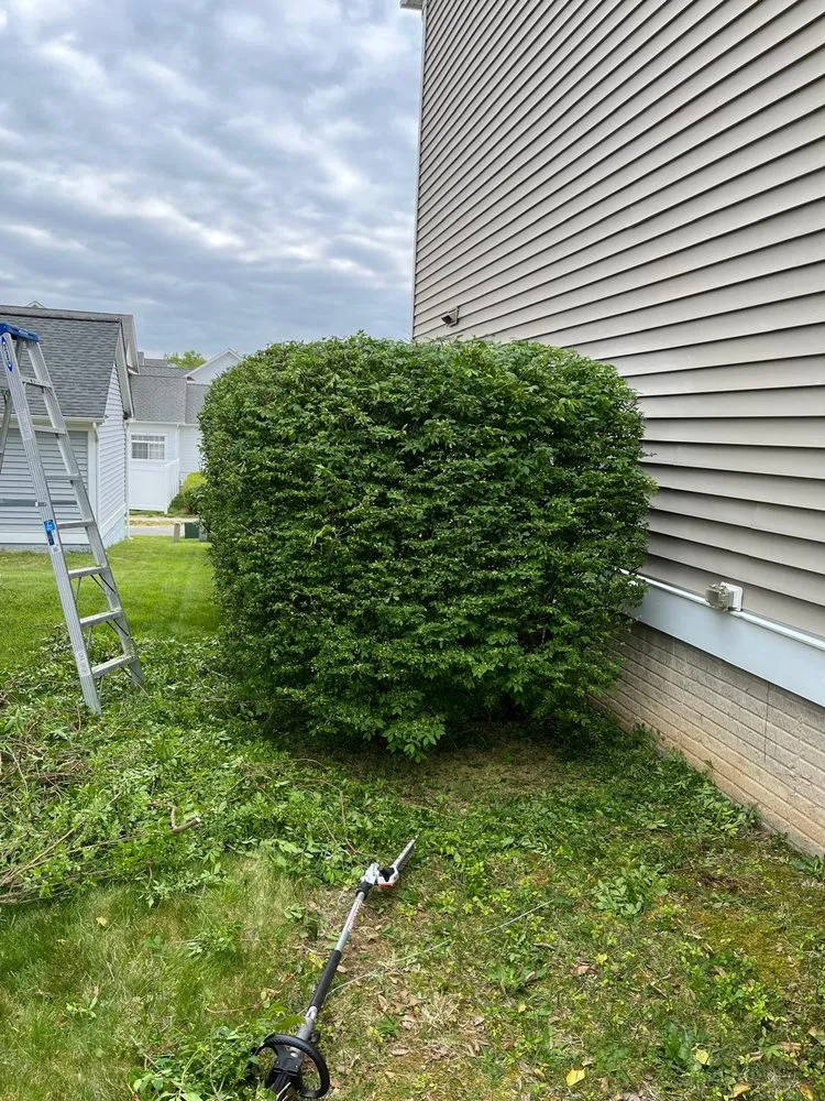 Affordable residential landscaping in Ashland, VA by Salazar A Landscaper