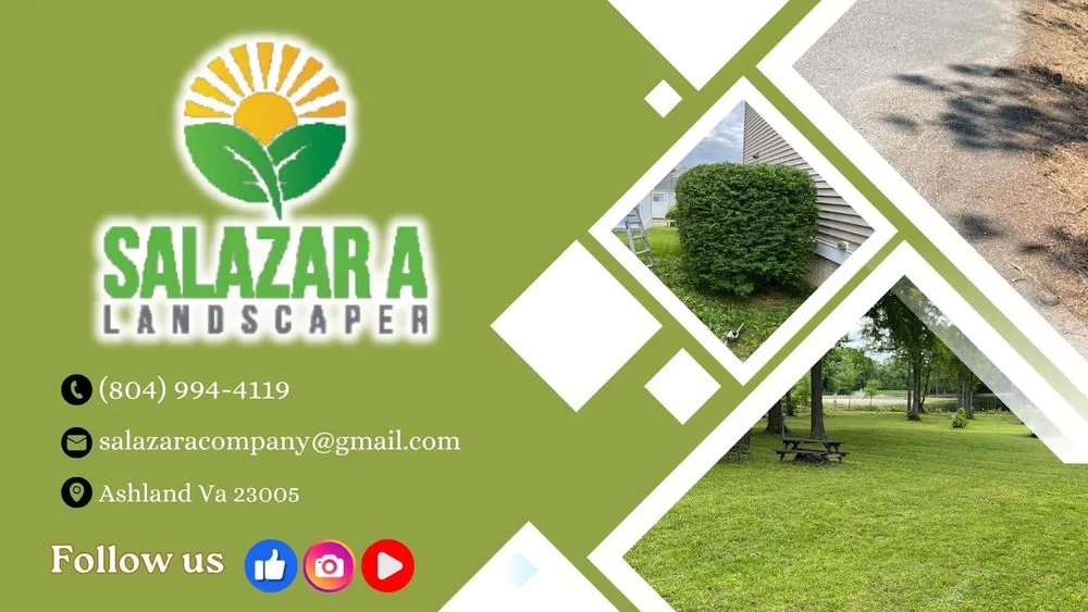 Professional yard cleanup service in Ashland, VA - Salazar A Landscaper