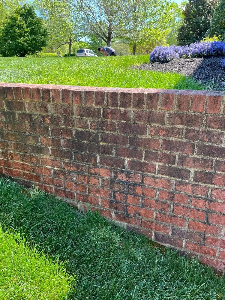 Top-rated yard cleanup service experts serving Ashland, VA - Salazar A Landscaper