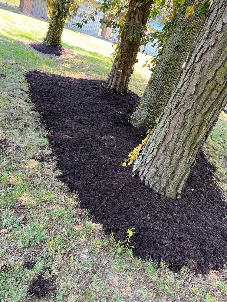 Custom lawn care service in Ashland, VA by Salazar A Landscaper