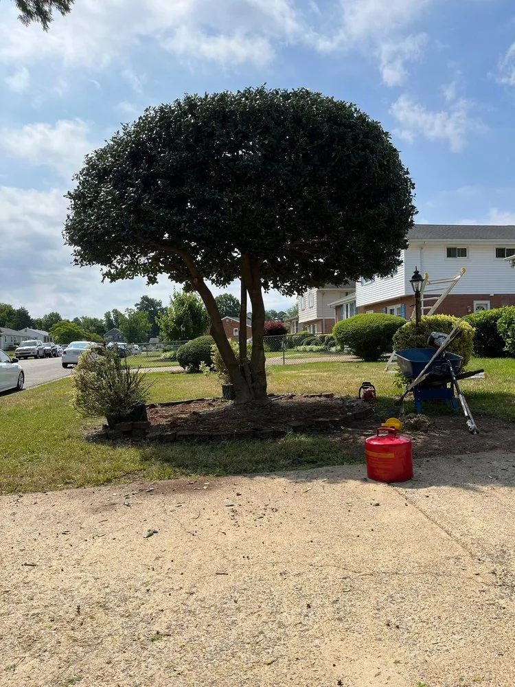 Affordable yard maintenance for year-round maintenance across Ashland, VA - Salazar A Landscaper