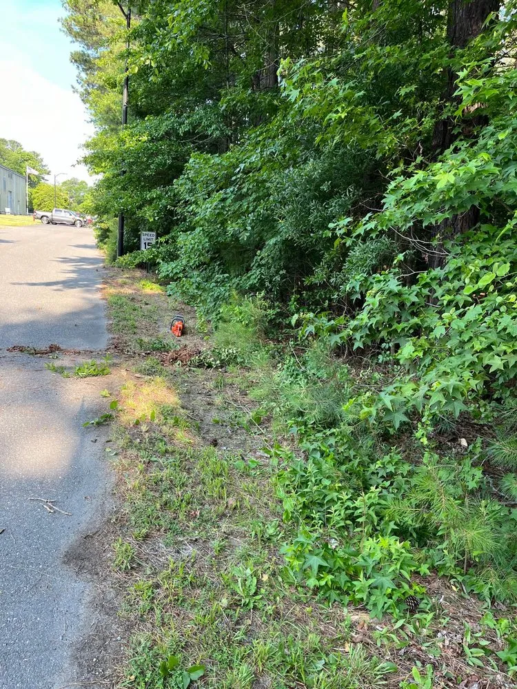 Affordable lawn mowing service in Ashland, VA by Salazar A Landscaper