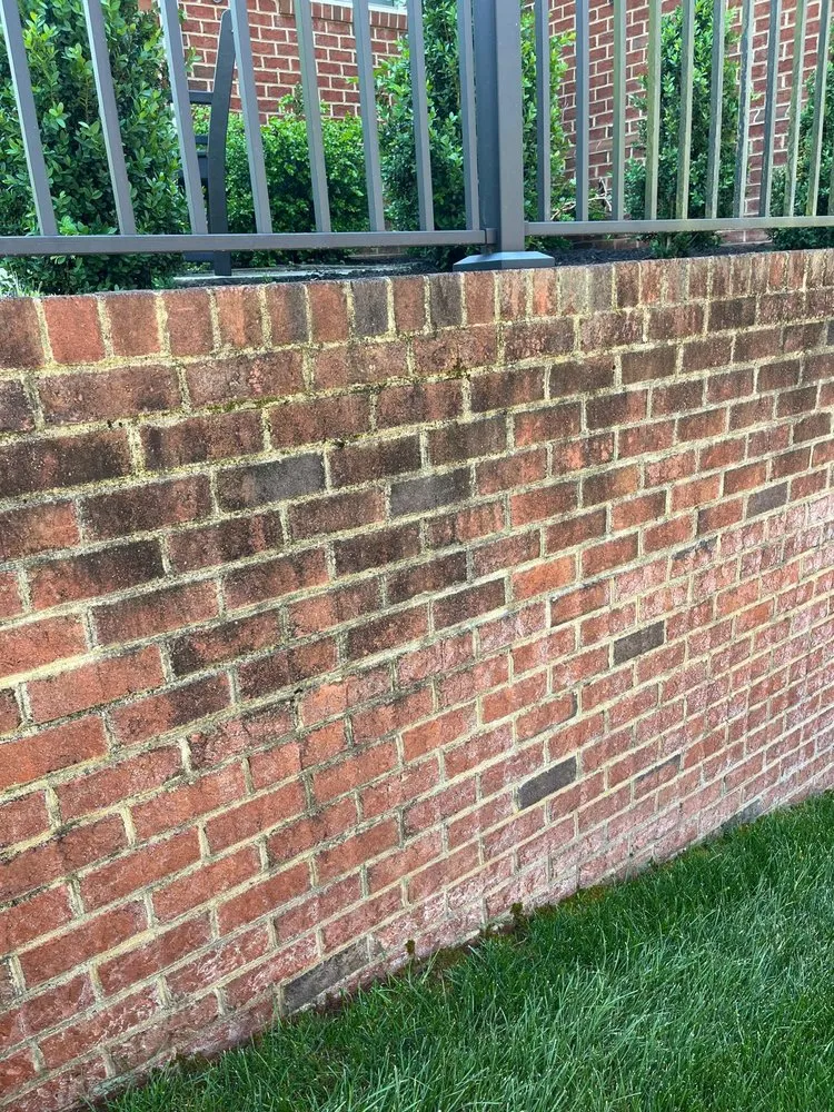 Trusted residential landscaping for beautiful yards in Ashland, VA by Salazar A Landscaper